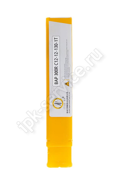BAP300RC12-12-130-1T  Корпус фрезы  ИПК